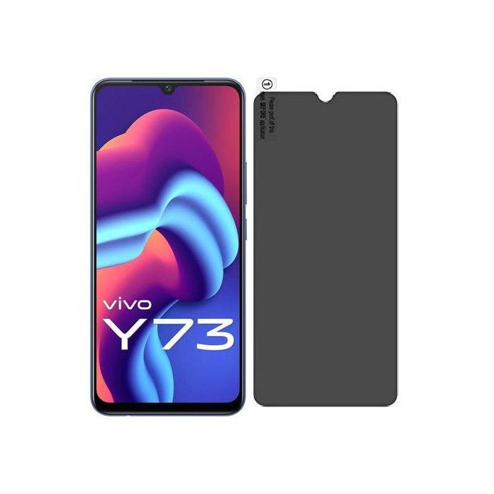 Privacy-Aug21-Vivo-Y73-2021.jpg